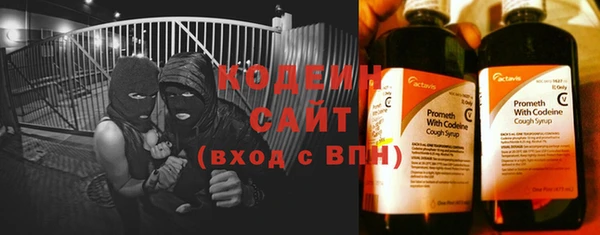 хмурый Няндома