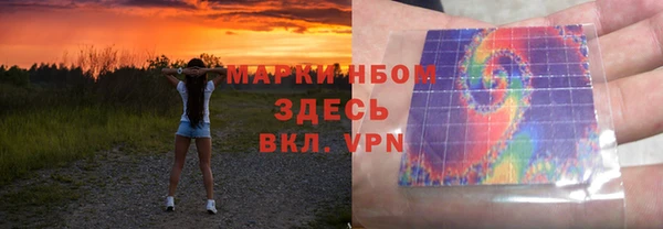 хмурый Няндома