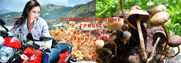 прущая мука Нягань
