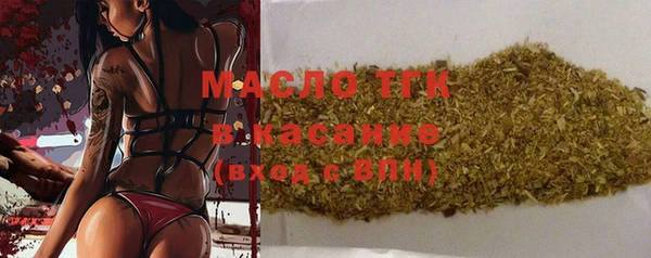 хмурый Няндома