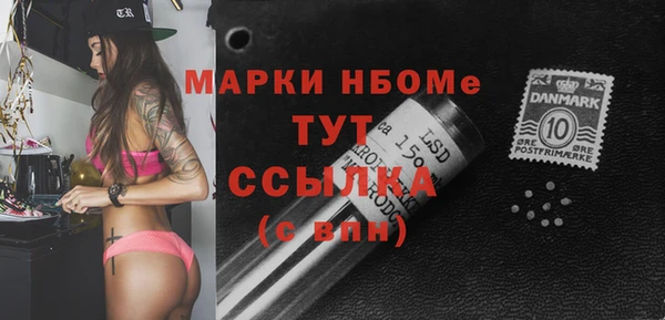 хмурый Няндома