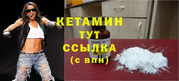 хмурый Няндома