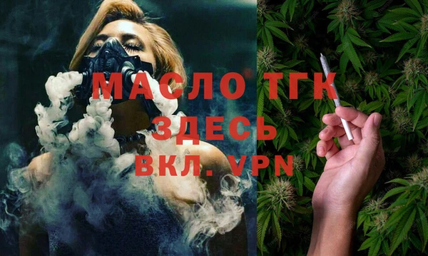 хмурый Няндома