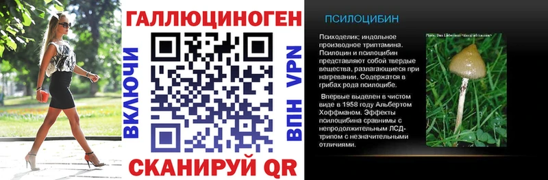 Псилоцибиновые грибы мицелий  наркотики  Избербаш 