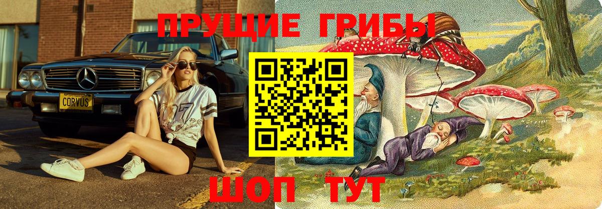Галлюциногенные грибы Cubensis Избербаш
