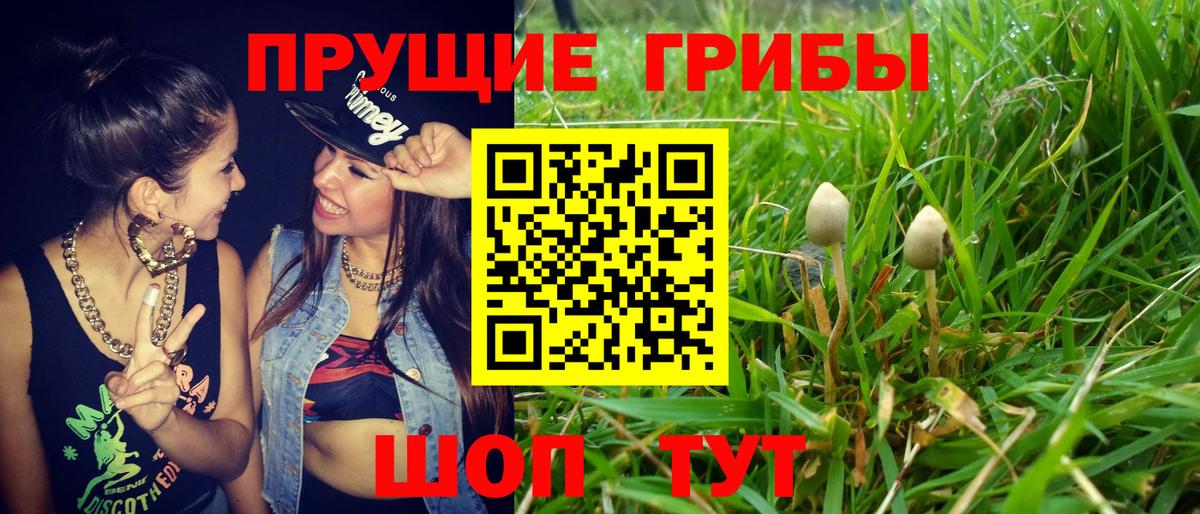 сколько стоит  Галлюциногенные грибы ЛСД  Вход с VPN  Избербаш 